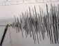 İran’da Deprem: 5 Büyüklüğündeki Sarsıntı Halkı Sokağa Döktü