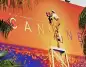 78. Cannes Film Festivali bugün açılıyor... Yenilikçi yapımlar ve sıra dışı deneyimler başlıyor