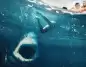 Büyük Beyaz (Great White) filmi TRT 1 ekranlarında yeniden izleyiciyle buluşuyor!