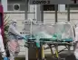Fransa’da hantavirus alarmı: 13 kişi karantinaya alındı