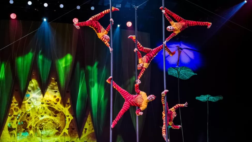 Dünya Devinden Görkemli Dönüş: Cirque du Soleil "OVO" ile İstanbul’da!