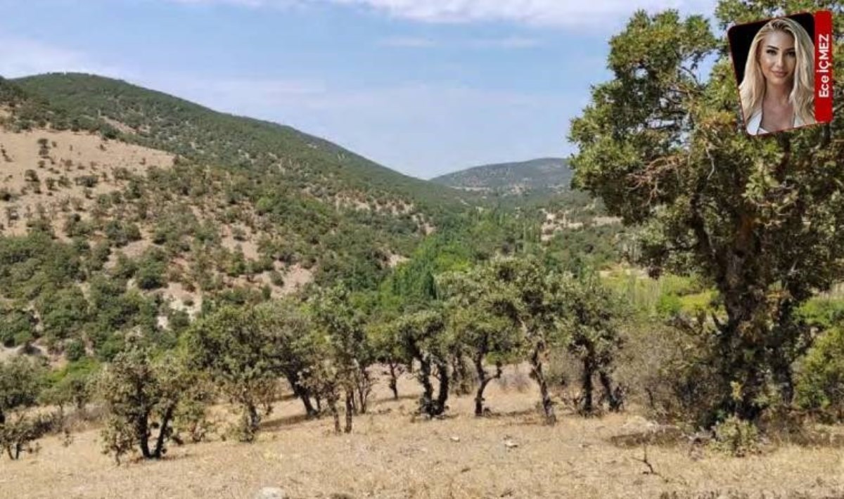 Eski Bakan Ağbal, İzmir'e Yenilenebilir Enerji Santrali kuracak: Çevresel Etki Değerlendirmesi için "sit" düzenlemesi yapılacak!