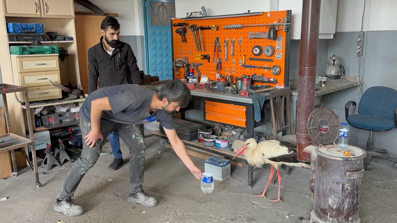 Yorgun düşmüş leyleğe bir oto kaporta ustasının yardım eli oldu