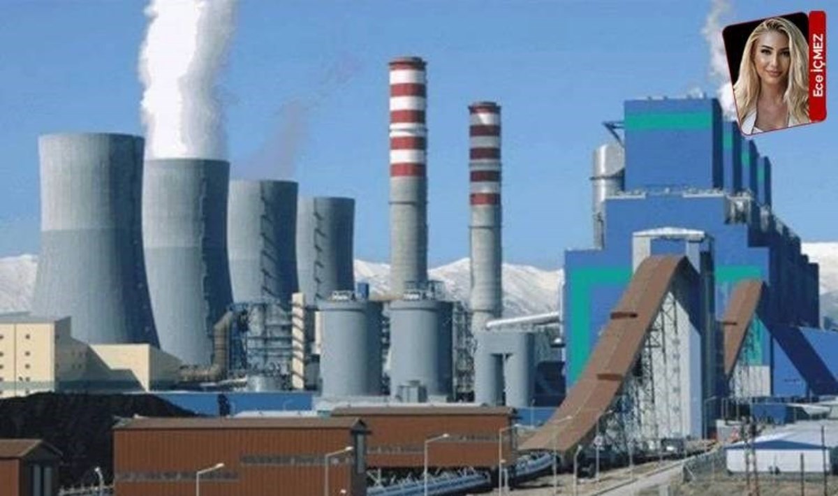 Termik Santral Projesine Mahkemeden Onay: İtirazlar Göz Ardı Edildi