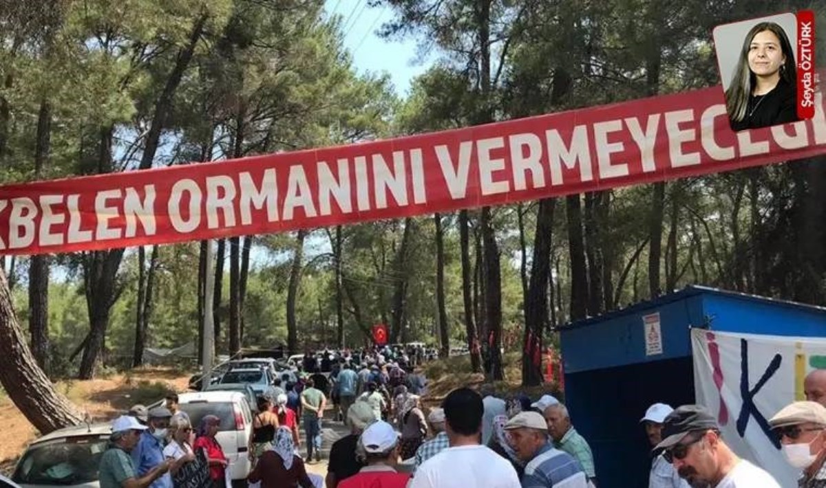 Termik santralın izinlerinin iptal edilmesine yönelik verilen ret kararı, üst mahkeme tarafından bozuldu: Akbelen için umut dolu gelişme