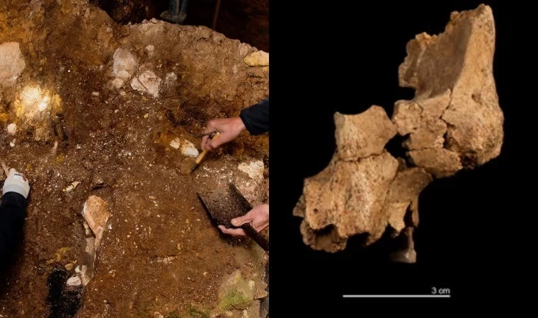 Atapuerca’da Tarihi Keşif: En Eski İnsan Kalıntısı Bulundu