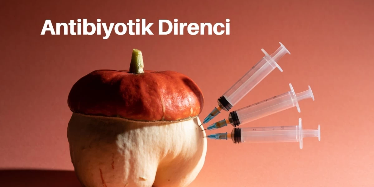 Mikroplastikler, Bakterileri Antibiyotiklere Karşı Daha Dirençli Hale Getiriyor