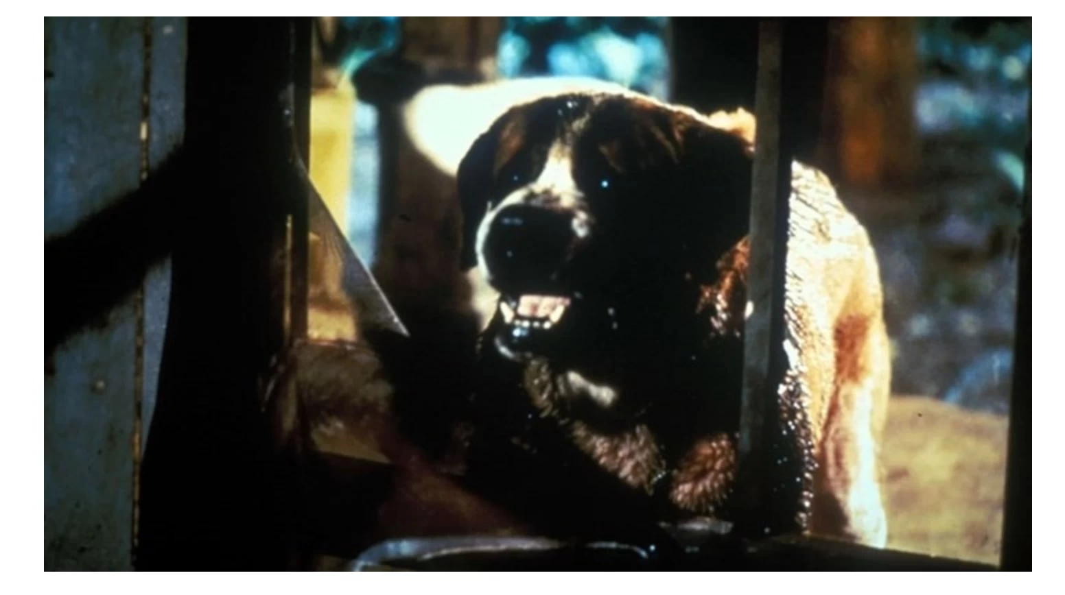 Netflix, Stephen King'in unutulmaz eseri Cujo'yu uyarlayacak!