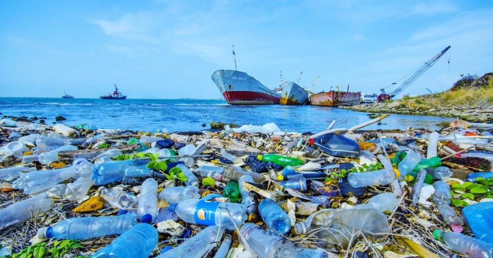 2024'te Çevreyi Kirletenlere 2 Milyar Lirayı Aşan Ceza Kesildi