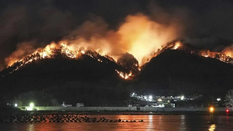 Japonya’da Alevlerin Yuttuğu 2 Bin Hektar
