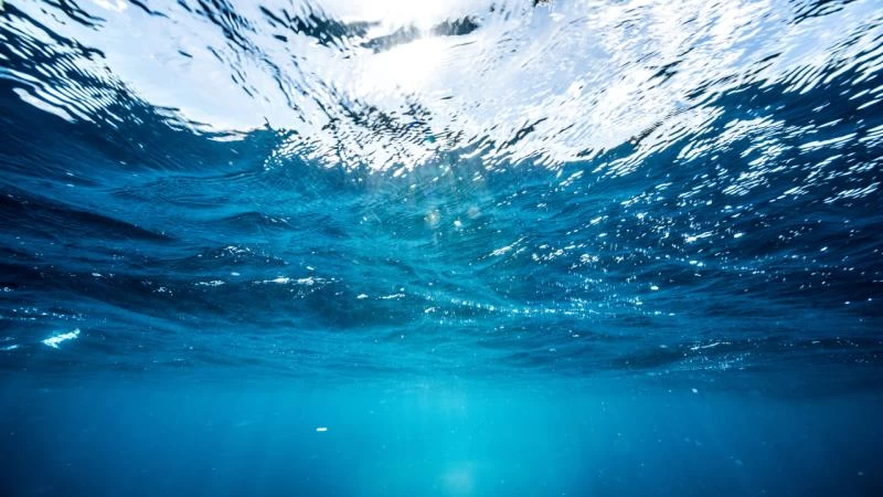 Dünyanın Derinlikleri Hâlâ Gizemini Koruyor: Deniz Tabanının Sadece %0,001’i Keşfedildi