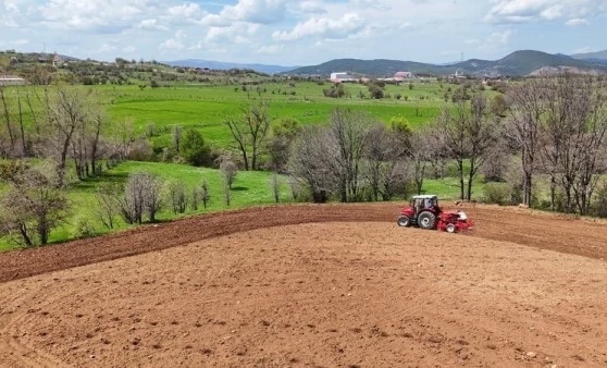 Ordu’da 34.800 Dekar Atıl Arazi Karabuğdayla Yeniden Canlanıyor