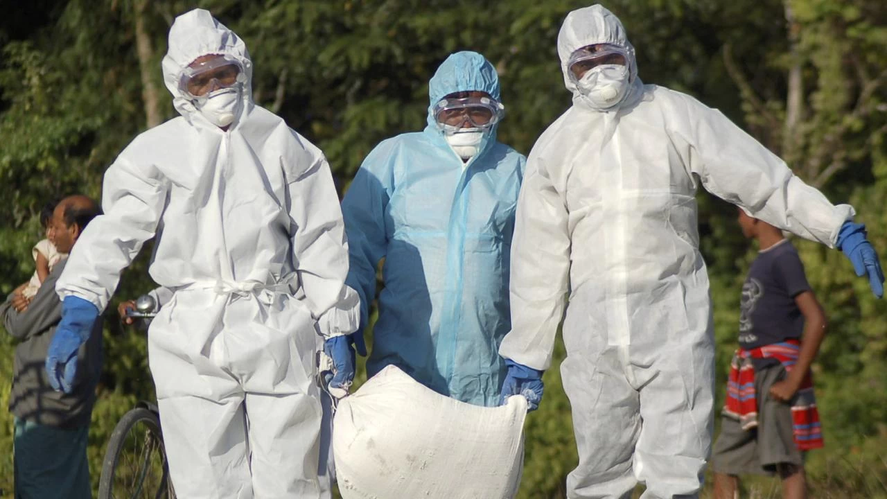 H5N1 Paniği: Hindistan’da Hayvanat Bahçeleri Bir Haftalığına Kapatıldı!