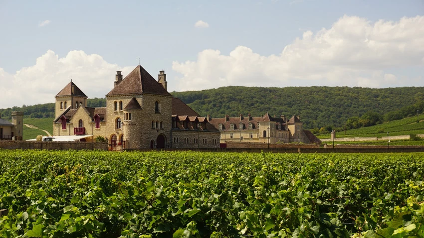 Avrupa’da Damak İzinde Yolculuk: 5 Gastronomi Rotası Öne Çıkıyor