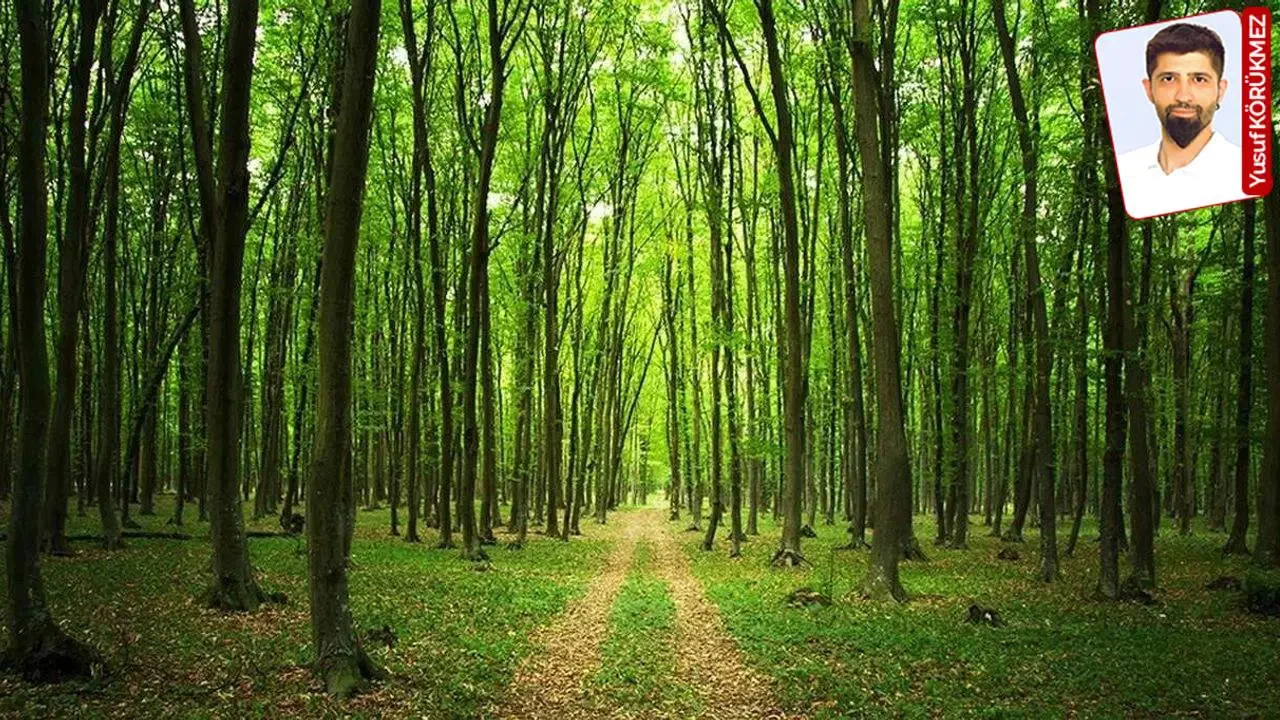 Bakanlık Kararıyla İzmir’de Bazı Doğal Alanlar Yapılaşmaya Açıldı