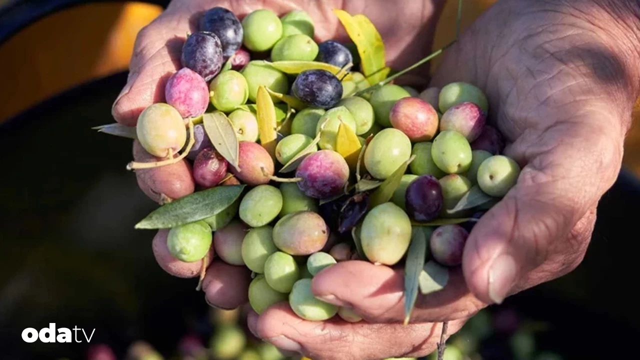 Turizmin Yükselen Değeri Gastronomide Gizli Reçete: El Ayarı