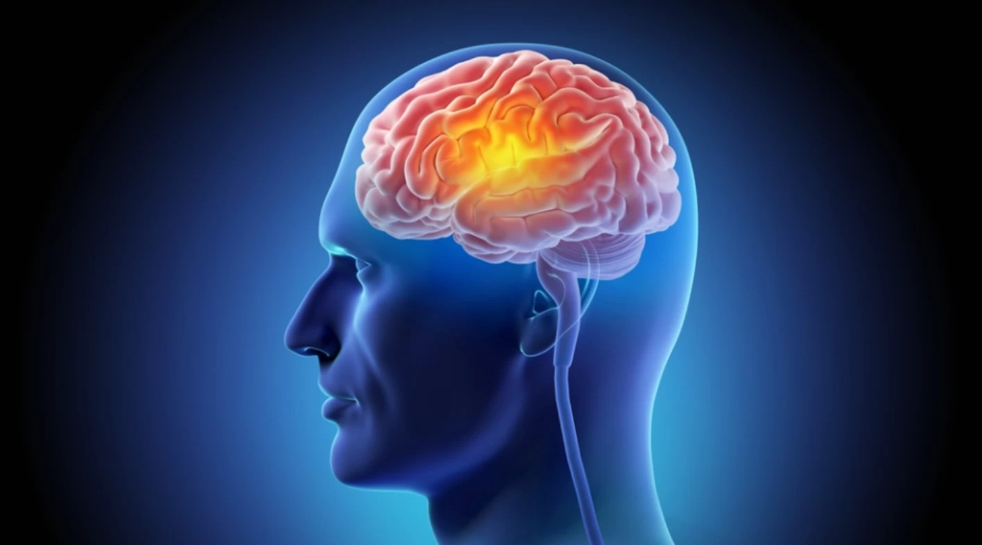 Zihninizi yaşlandıkça keskin tutabilir: Yeni araştırma bu Akdeniz tarzı diyeti işaret ediyor