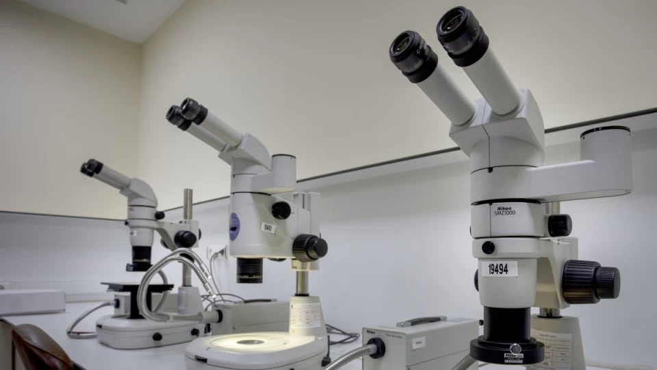 Bir Damla Kan İzi, 19 Ay Önceki Gasp Cinayetini Çözdü