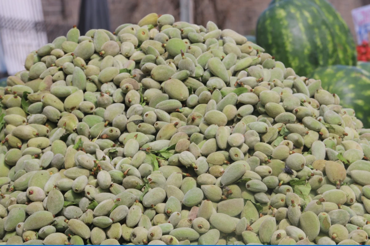 Tadımlık Bile Lüks Oldu! Çağla Badem Fiyatı Bir Yılda 5 Kat Arttı: Kilo İle Değil, Gramla Bile Almak Zor