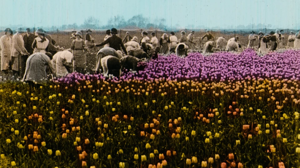 Görüntünün Büyüsü: İstanbul Modern’de "Sessiz Film Günleri" Başladı