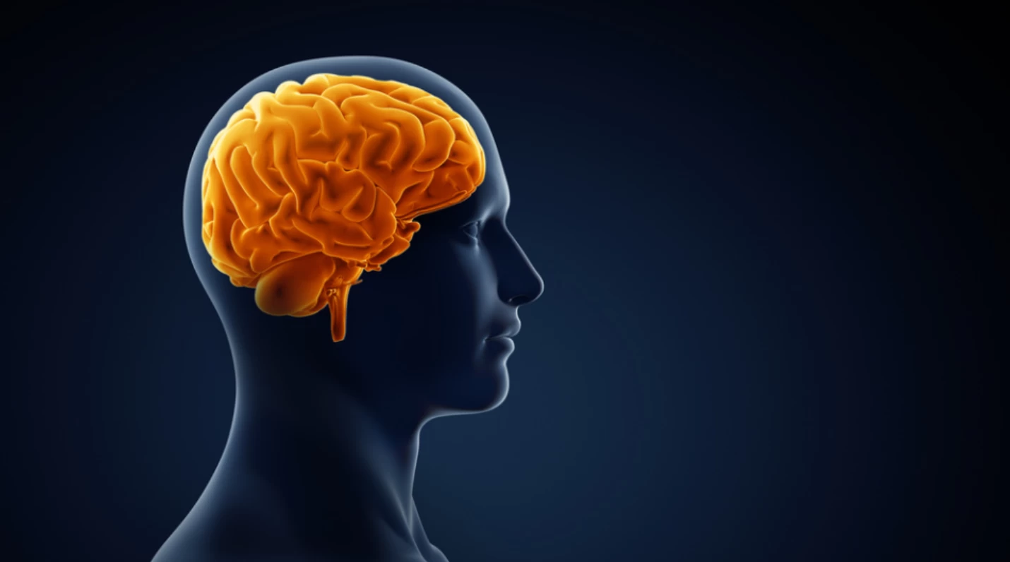 Zayıflamak, Bedeni Olduğu Kadar Zihni de Değiştiriyor