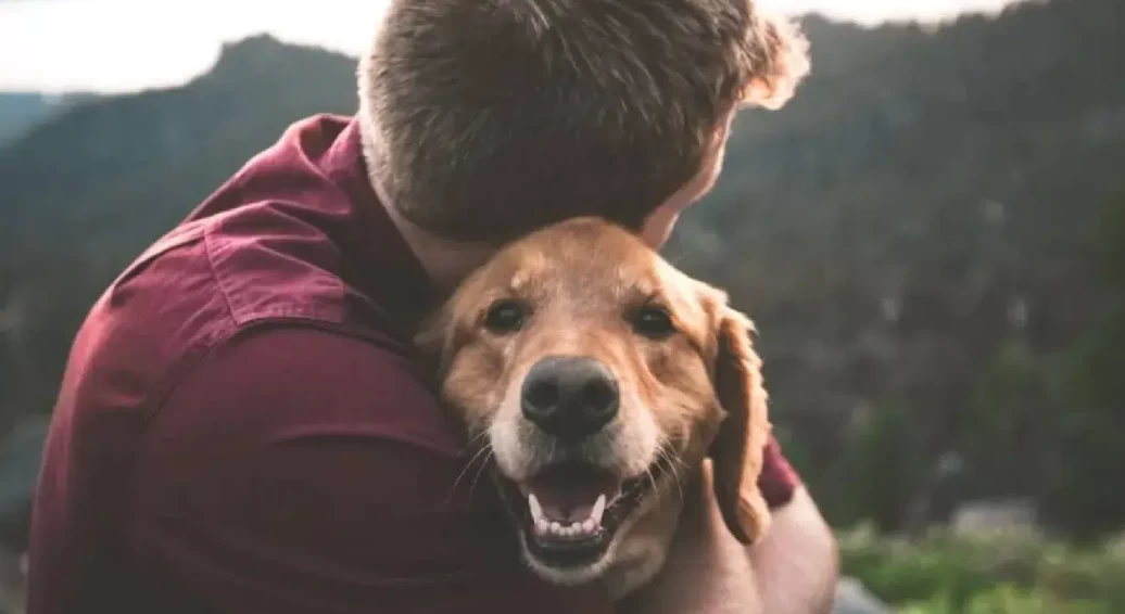 Köpek sahibi olmak kalp krizi kaynaklı ölüm riskini azaltıyor
