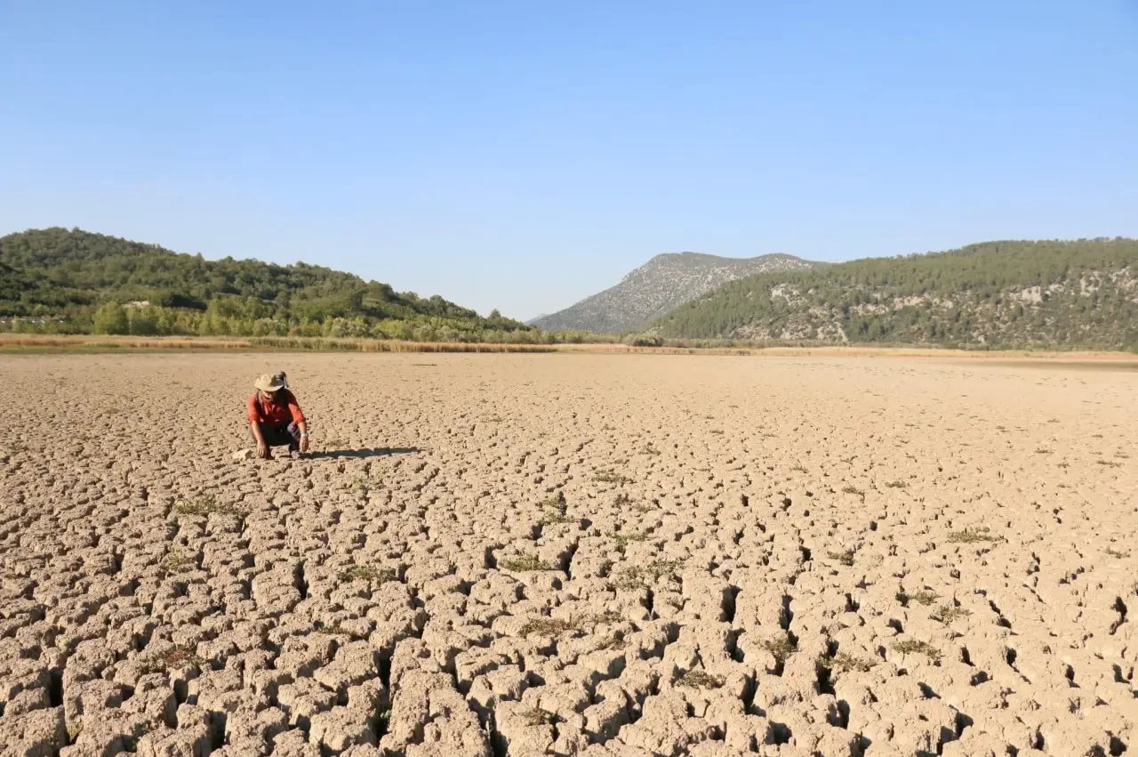 Musluklardan Akan Meta Değil, Yaşamdır! Ekoloji Örgütlerinden Ortak Çağrı: Su Haktır, Şirketlerin İnsafına Terk Edilemez