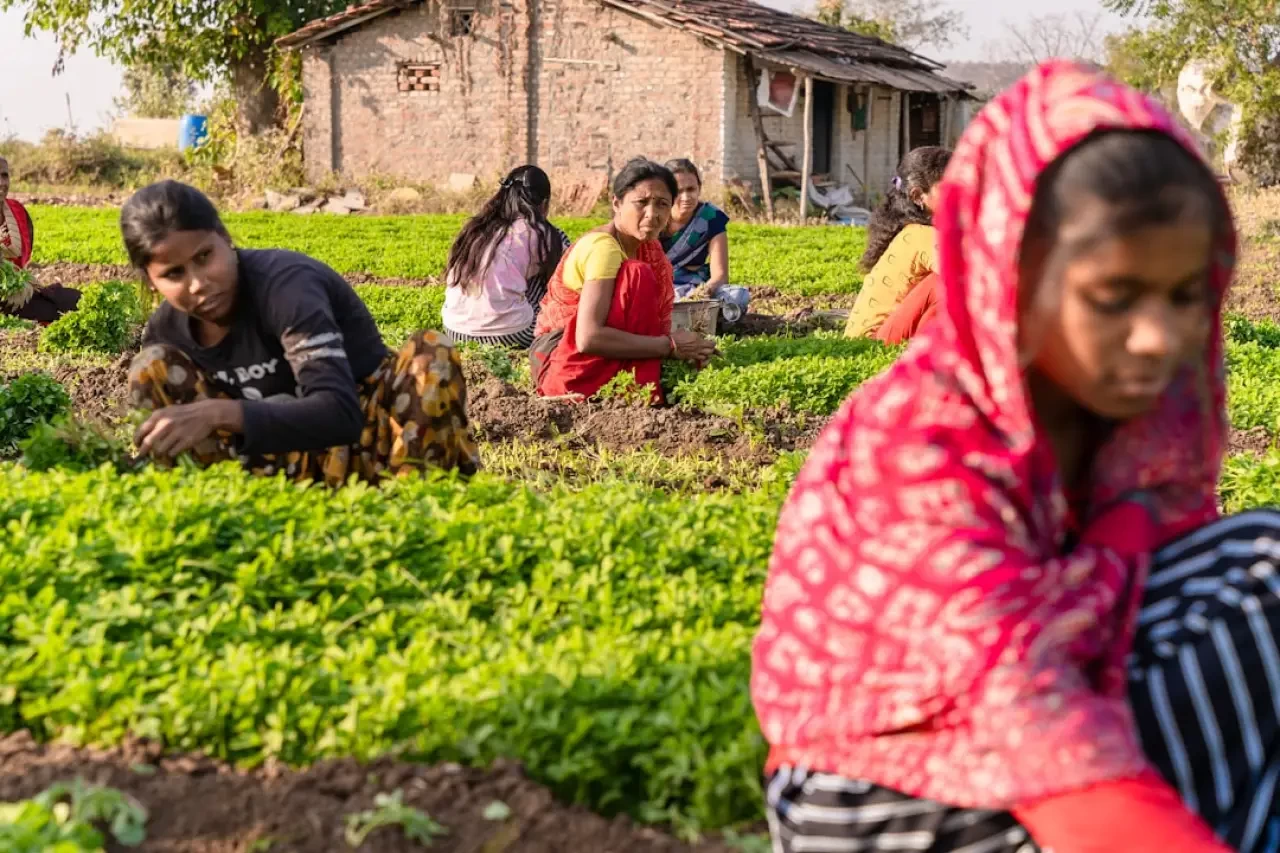 Çiftçinin Kara Gün Dostu Gübre Cep Yakıyor! Üre Fiyatlarında Sert Yükseliş: Gıda Güvenliği Büyük Risk Altında!