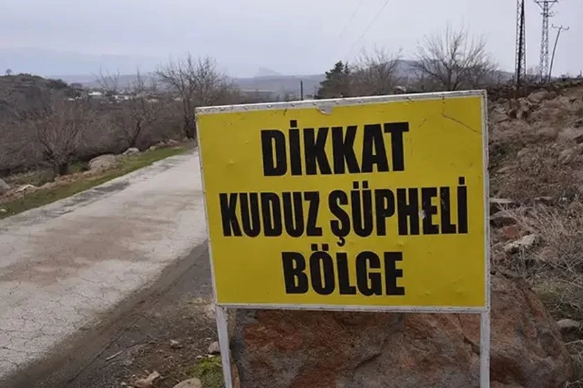 Kırsalda Alarm Çanları Çalıyor! 3 Ayrı İlde Kuduz Vakaları Tespit Edildi: Giriş-Çıkışlar Yasaklandı, Hayvan Ölümlerinin Ardından Bölge Karantinaya Alındı