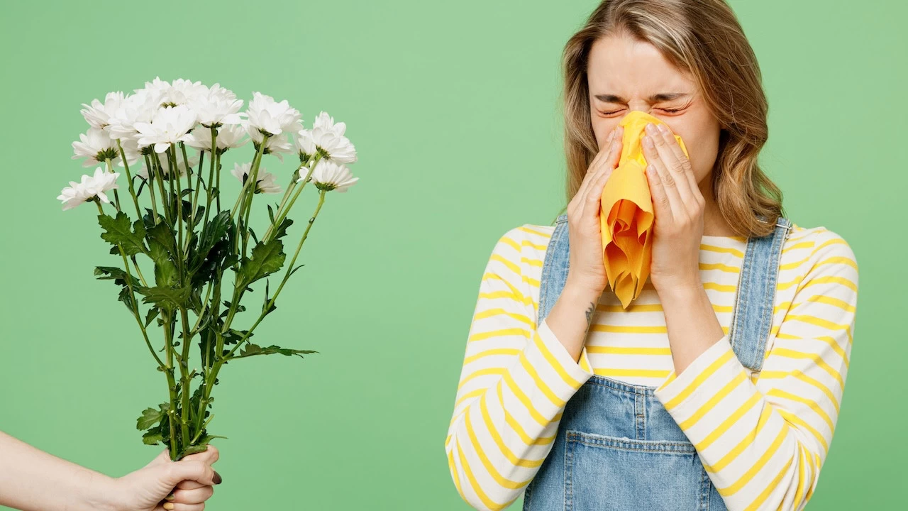 İklim krizi alerjileri tetikliyor: Polen dönemi iki hafta uzadı
