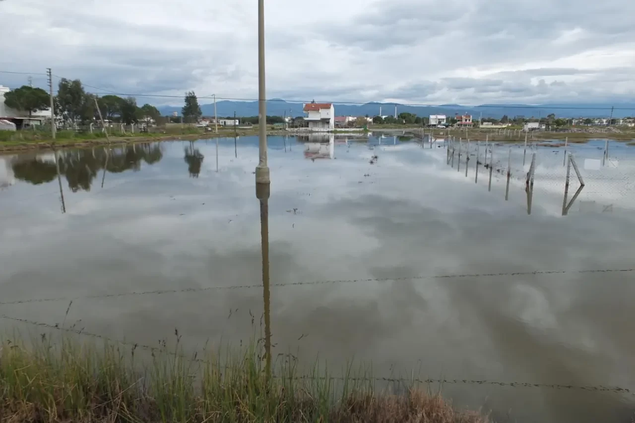 Yeni Zelanda’da şiddetli yağış: Acil durum ilan edildi