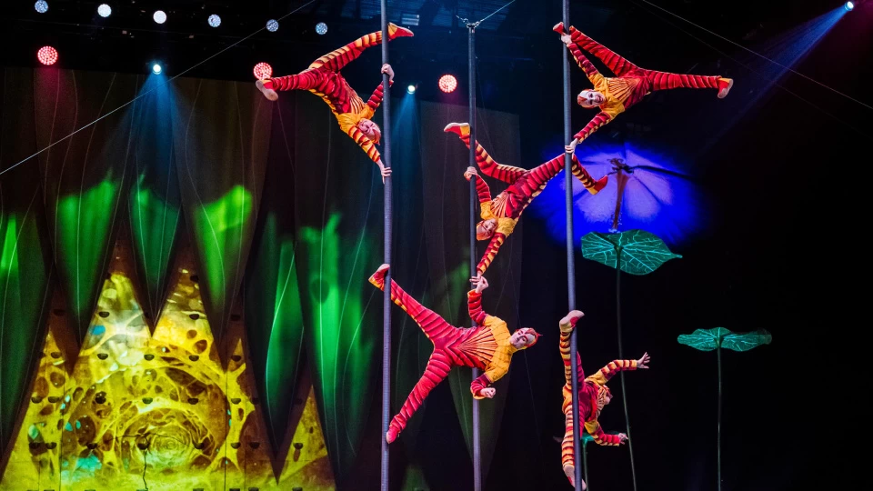 Dünya Devinden Görkemli Dönüş: Cirque du Soleil "OVO" ile İstanbul’da!