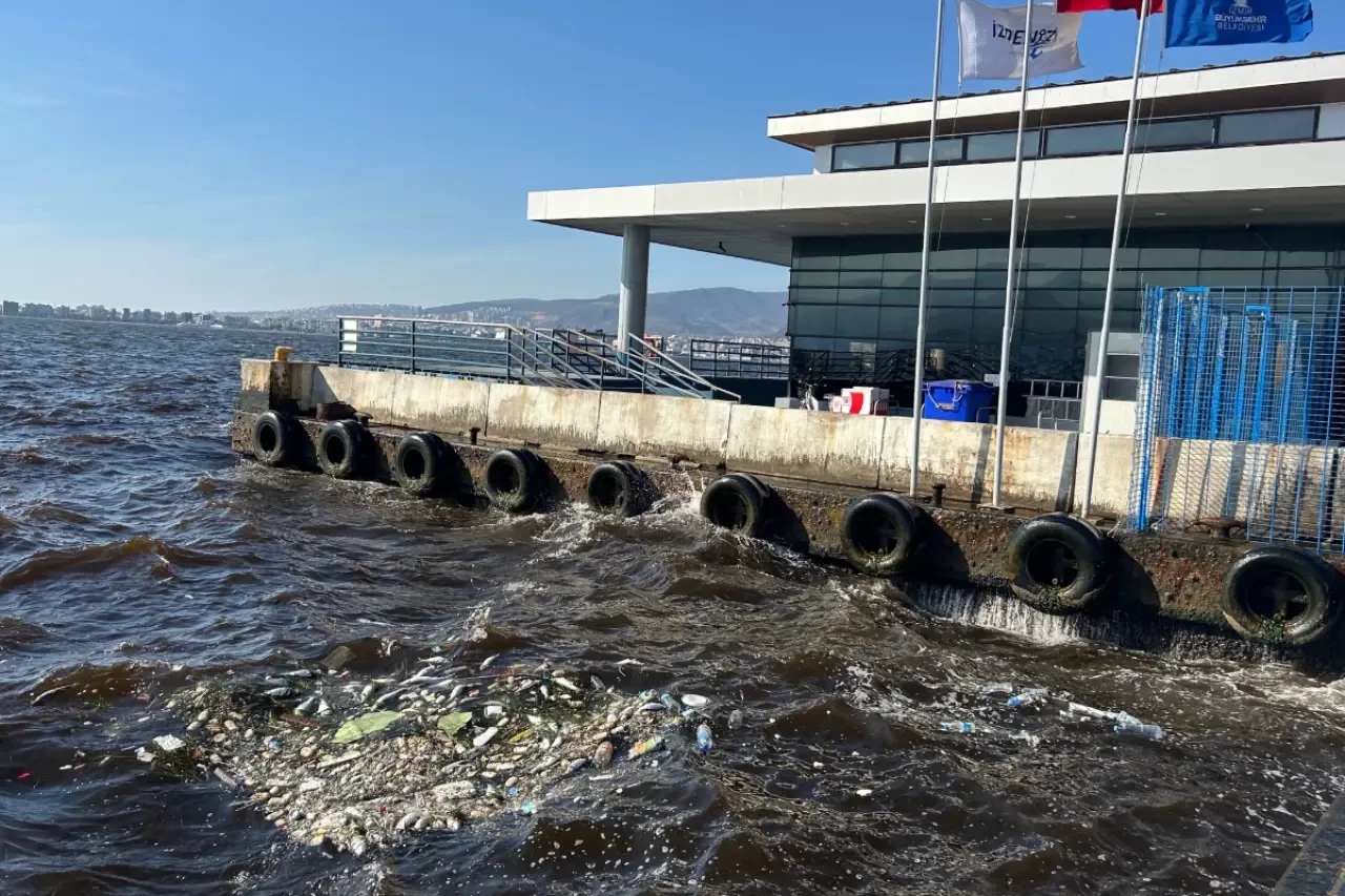 Körfezde Dip Çamuru Alarmı! Uzmanlar Uyardı: Kirlilik Yüzeyde Değil Dipte Birikiyor, Deniz Ekosistemi Geri Dönülemez Bir Eşiğe Yaklaşıyor!