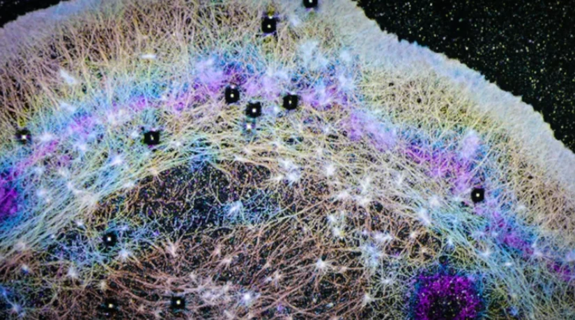 İnsan hücresinde beklenmedik bulgu: Mikroskobik rüzgarlar keşfedildi