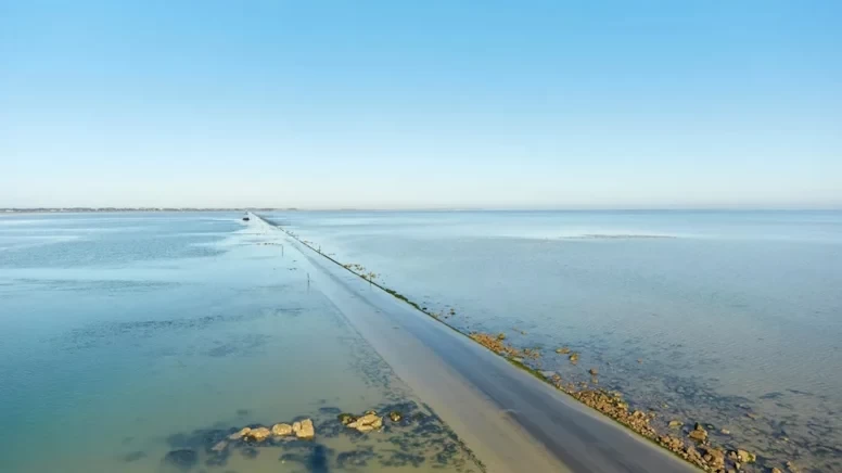 Denizin ortasındaki bu yol sürücülere korku dolu anlar yaşatıyor