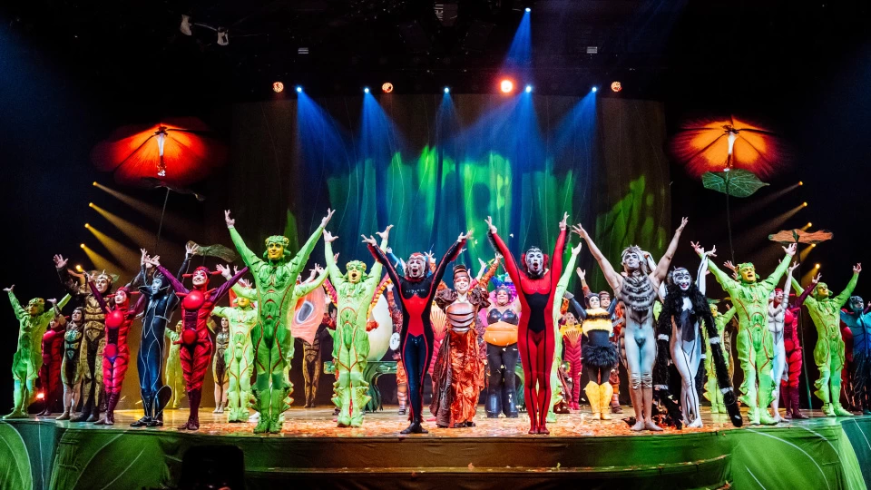 10 Yıllık Özlem Bitiyor: Dünyaca Ünlü Cirque du Soleil “OVO” Gösterisiyle İstanbul’da