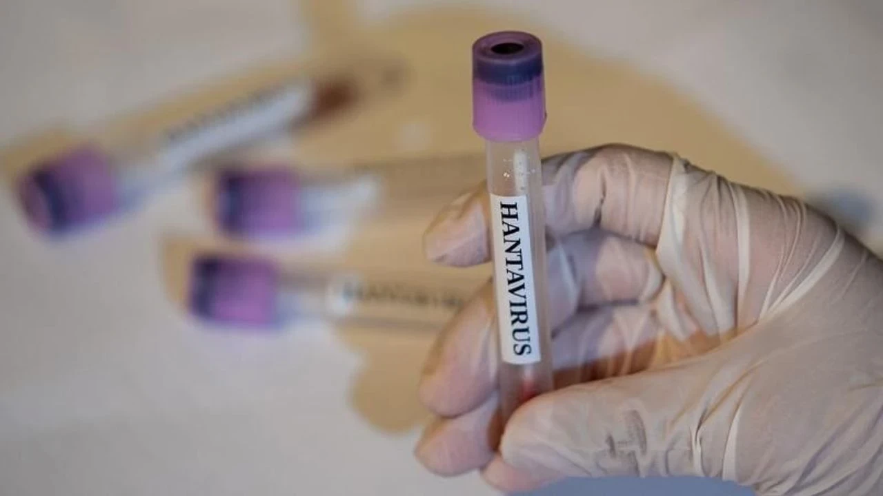 Dünya Sağlık Örgütü’nden hantavirus açıklaması