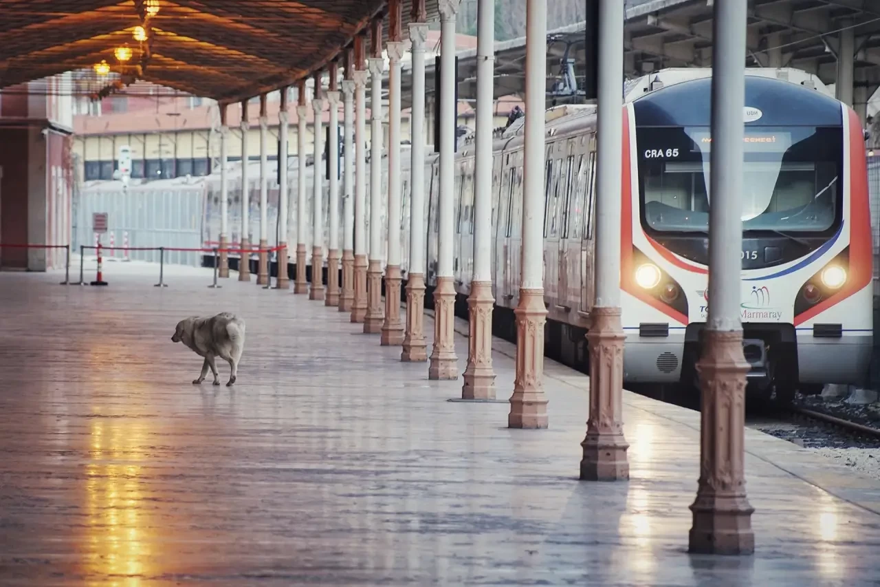 İstanbul’un ulaşım ana omurgası Marmaray’da yeni bir dönem başlıyor. Ulaştırma ve Altyapı Bakanlığı, 3 Mayıs’tan itibaren geçerli olacak yeni sefer planını duyurdu. Artan yolcu yoğunluğuna karşı "ek sefer" ve "hızlı hat" çözümleri masada.