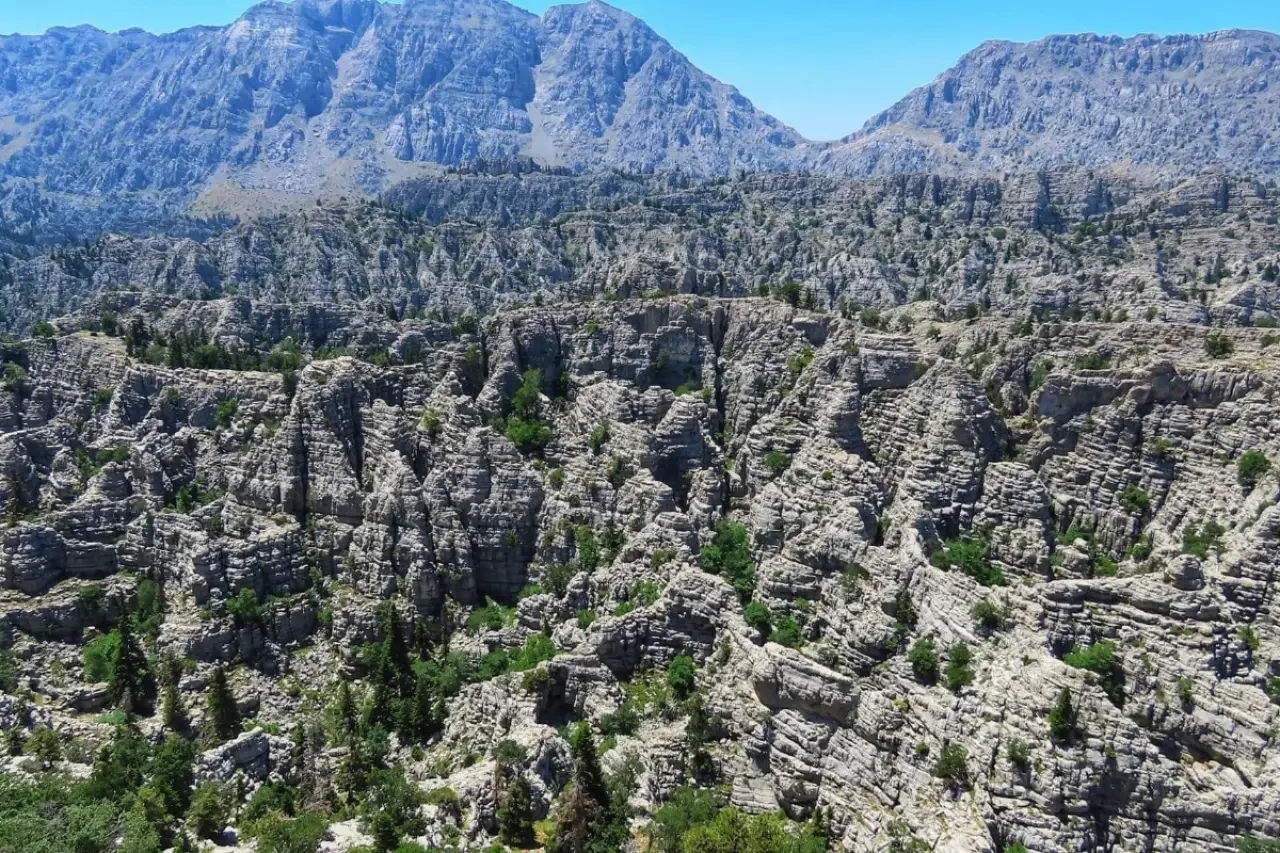 Akseki’de Planlanan Maden Projesi İçin On Binlerce Ağacın Kesilmesi Gündemde